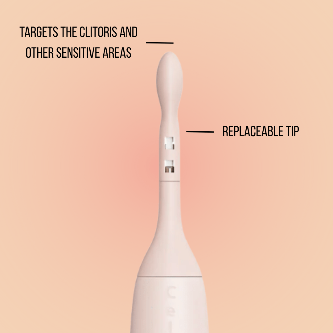 Celebrator™ - The Ultimate Orgasm Toy for Women - 3rd Planet Products