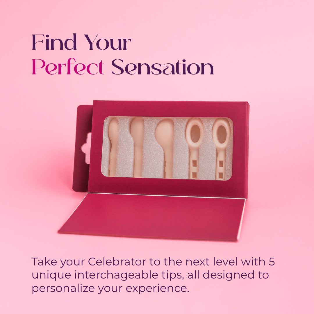 The Complete Celebrator™ Bundle - 3rd Planet Products